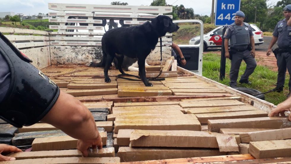 Força Tática apreende grande carga de maconha