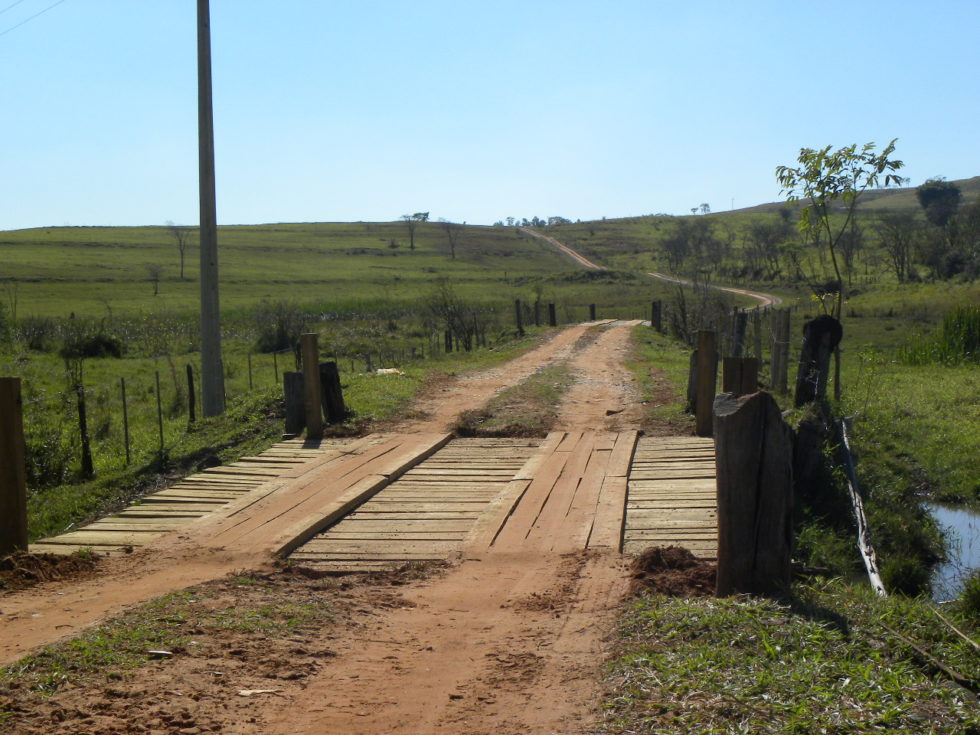 Mais um macaco morto é encontrado em Marília