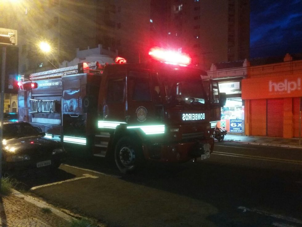 Macacos mobilizam Bombeiros em Marília