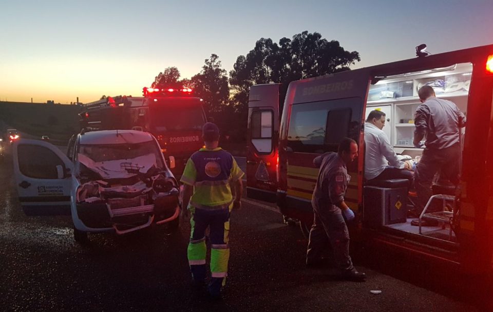 Veículo bate em vaca na rodovia SP-294 em Marília