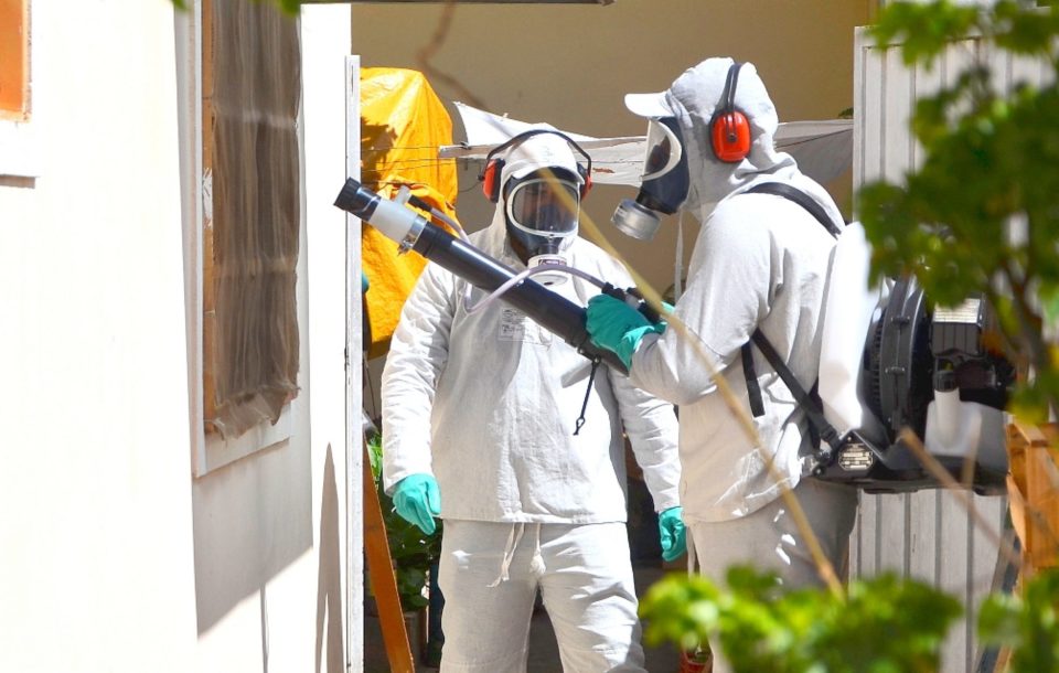 Prefeitura fará nebulizações após caso de dengue e macaco morto