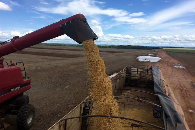 Brasil registrará recorde na produção de café e de soja em 2018