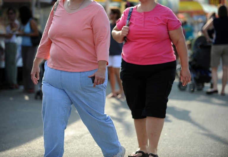 Obesidade atinge um em cada cinco adultos no Brasil