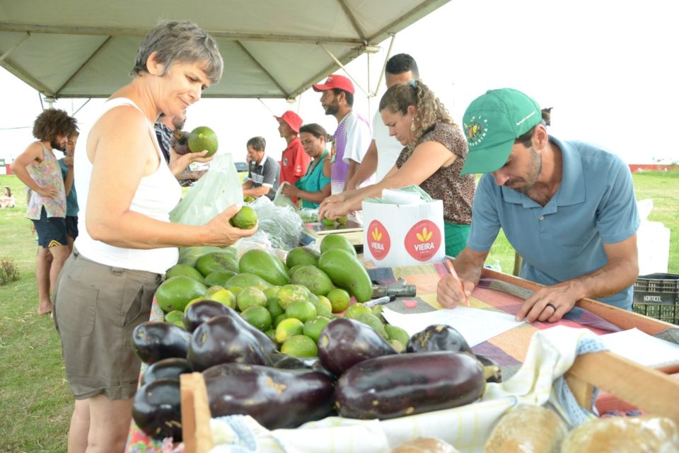 Praça no Cavallari recebe Feira Popular de Luta contra Agrotóxicos