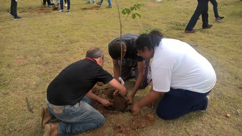 Projeto “Bosque dos Ipês Amarelos” recebe o plantio de mais 50 mudas
