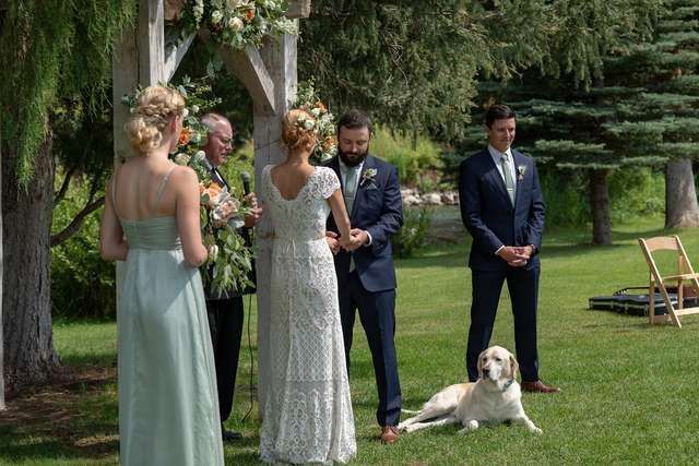 Cachorro faz pose hilária em foto de casamento