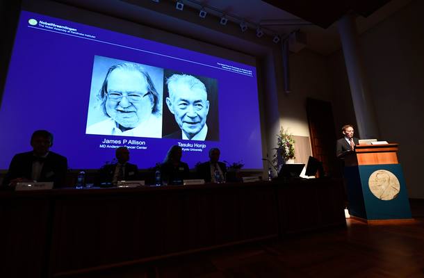 Terapia imune contra câncer leva Prêmio Nobel de Medicina