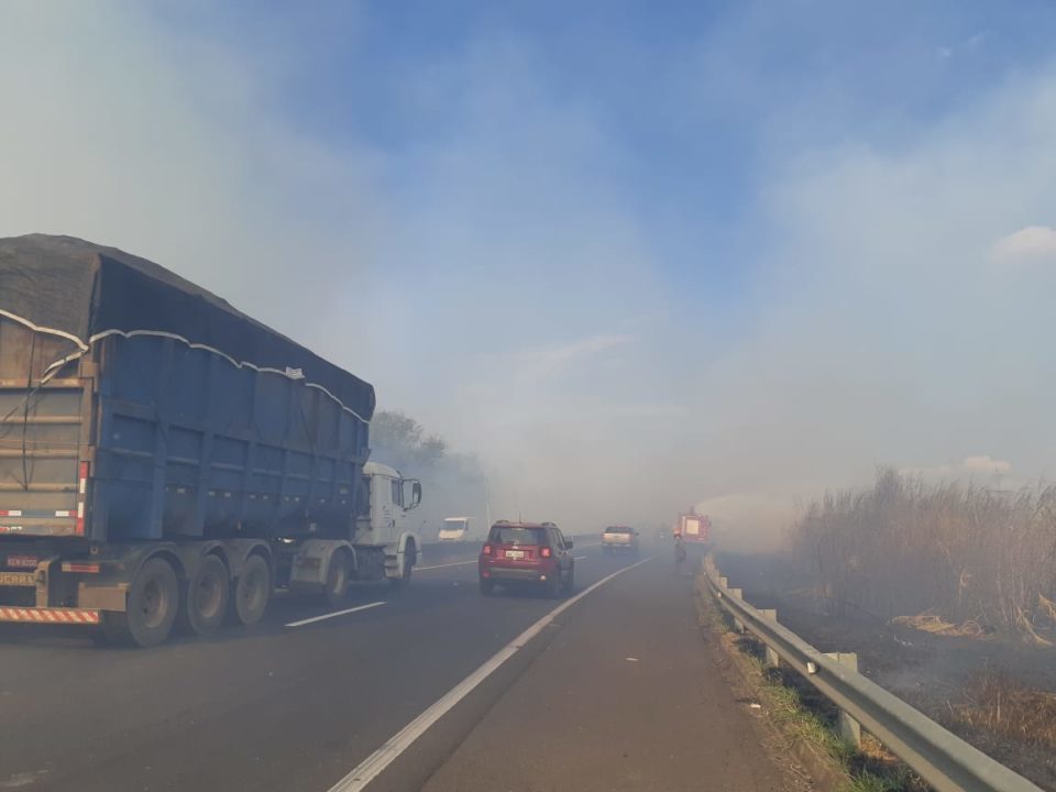 Entrevias registra 263 incêndios às margens de rodovia