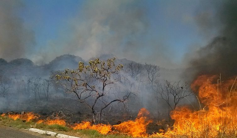 Focos de queimadas aumentaram 33% em Marília em 2018