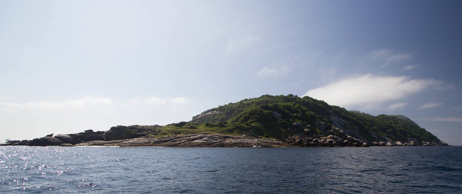 Pescadores naufragam e são resgatados em ilha cheia de serpentes