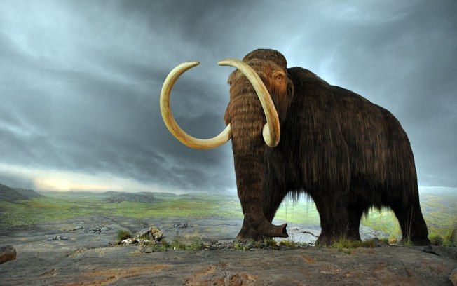 Cientistas estão perto de ressuscitar os mamutes