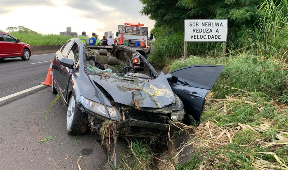 Homem morre após atropelar cavalo solto na rodovia SP-294