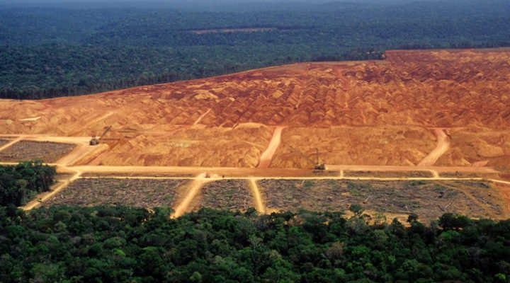 Desmatamento pode elevar temperatura na Amazônia em 1,45°C