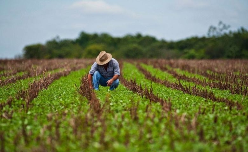 Produtor rural terá subsídio à energia regulado