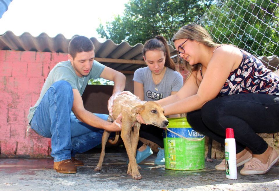 Curso de veterinária da Unimar realiza Trote Solidário em ONGs