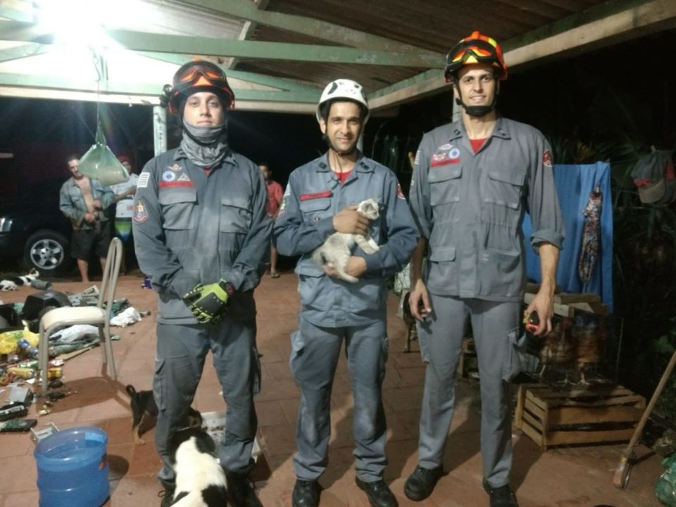 Bombeiros resgatam gato que caiu em poço de 15 metros na região