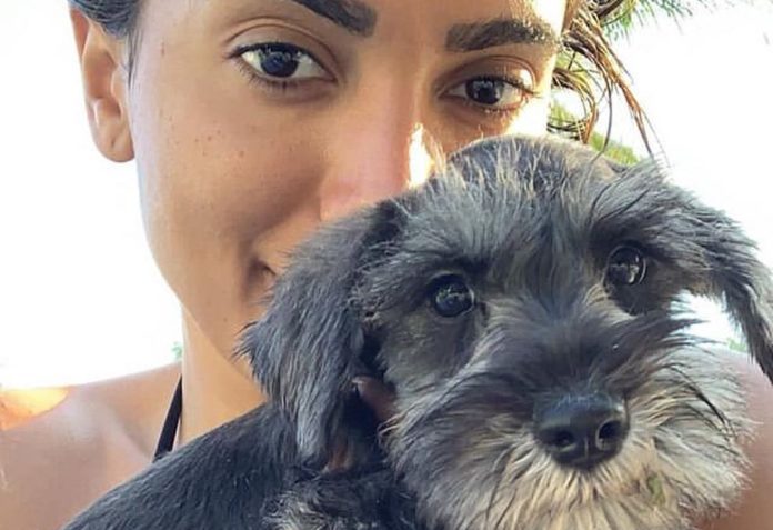 Anitta lamenta morte de um de seus cachorros: ‘Só consigo sentir dor’