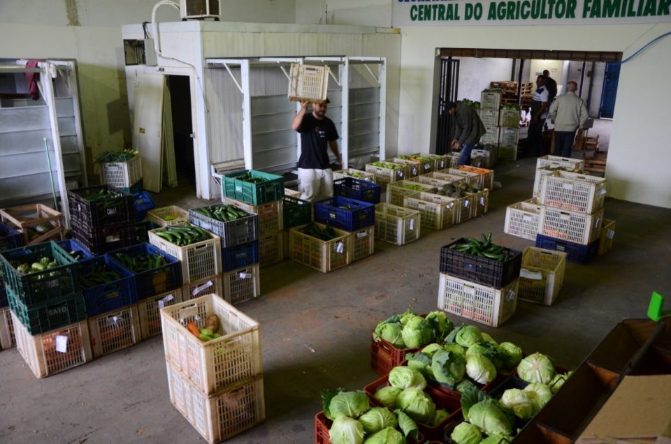 Prefeitura investe R$ 1 milhão em agricultores de Marília