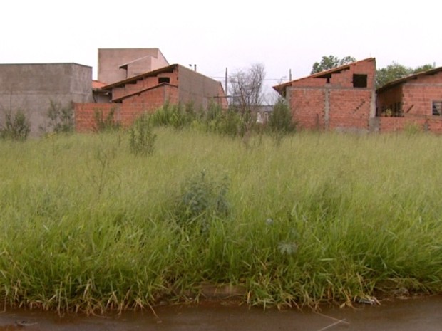 Projeto de lei encarece multa contra terreno baldio em Marília