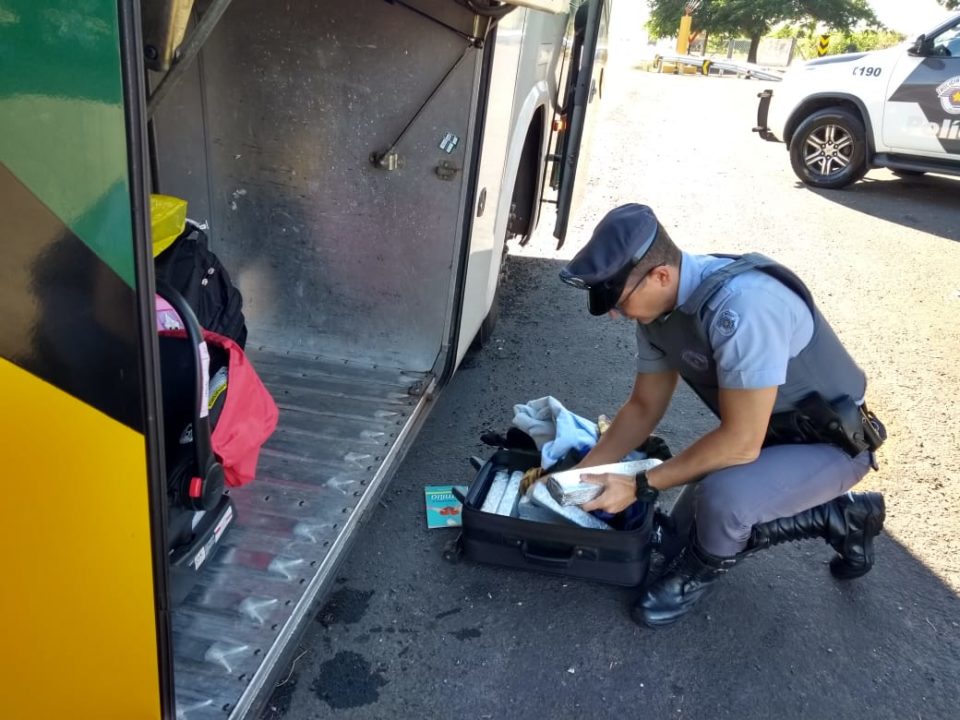 Jovem é preso com tabletes de maconha em ônibus na região