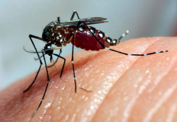 Cidade com mais casos no País, Bauru confirma 17 mortes por dengue