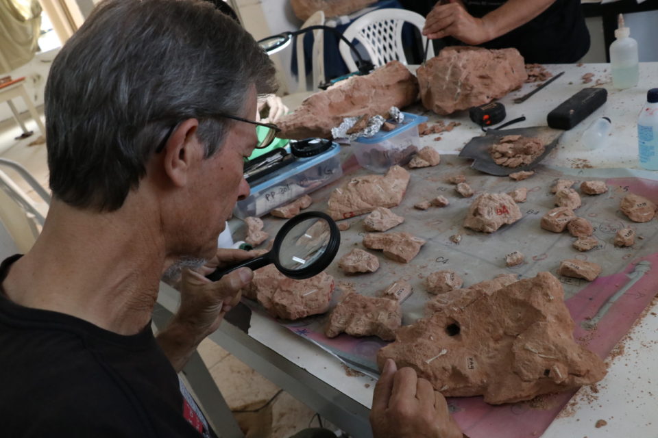 Cientistas trabalham em novas descobertas do Museu de Marília