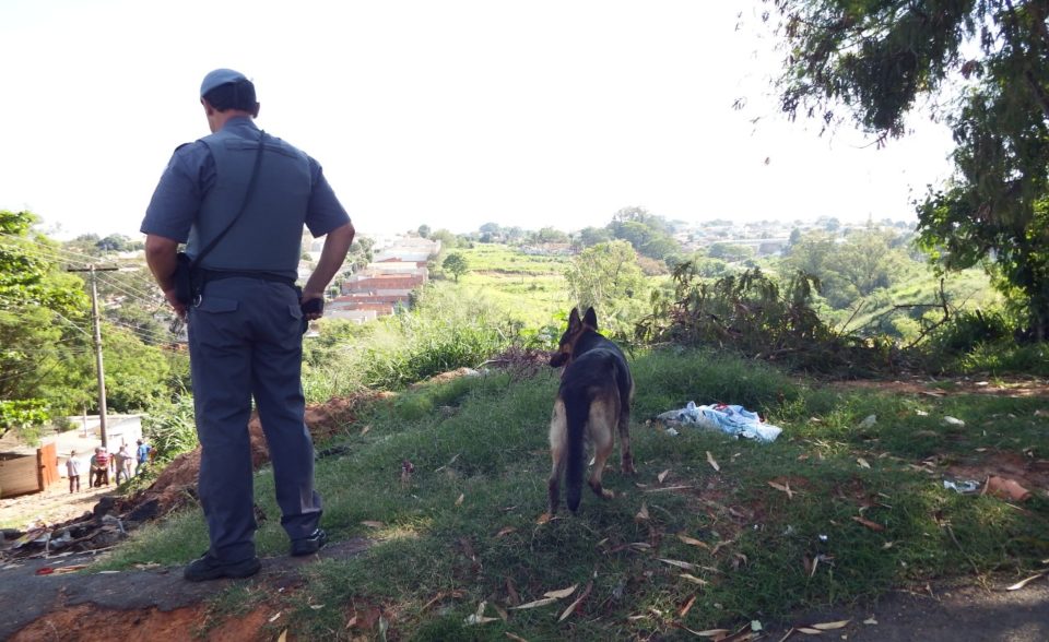 Risco de sofrer crimes violentos cai em Marília, mostra pesquisa