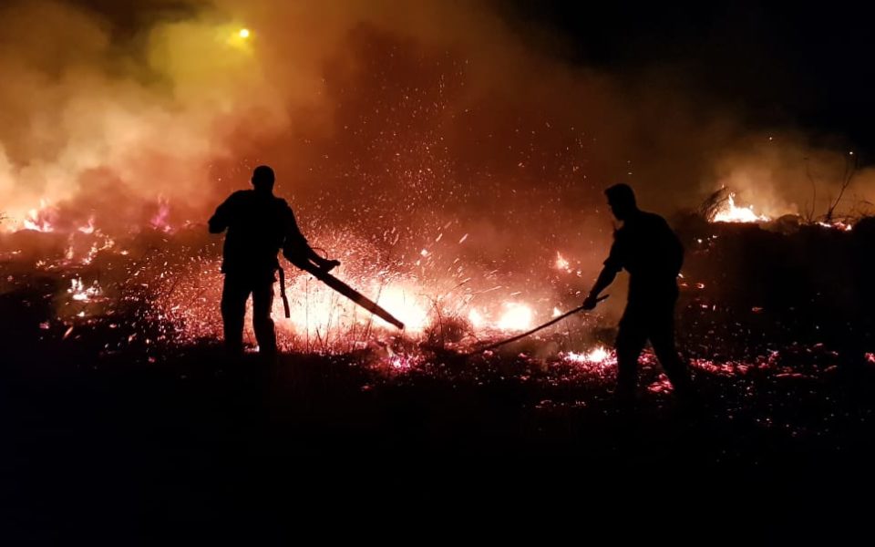 Incêndio às margens da SP-294 mobiliza Corpo de Bombeiros