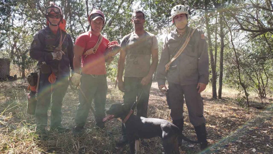 Bombeiros resgatam cachorro que caiu em itambé