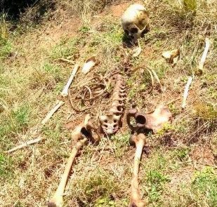 Polícia dá detalhes sobre ossada encontrada em março