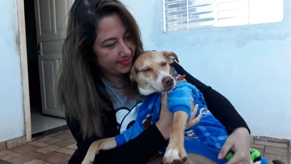 Após acidente, mulher encontra cachorro que havia desaparecido