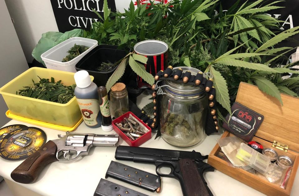 Homem é preso com plantação de maconha e armas