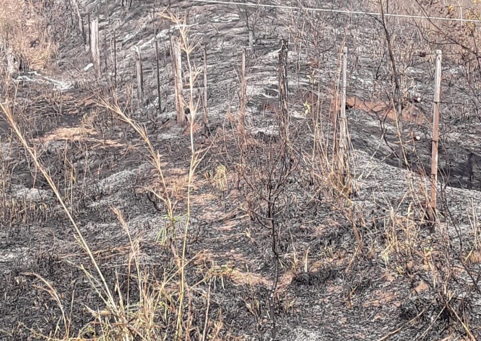 Fogo destrói postes que levam energia a bombas de captação de água