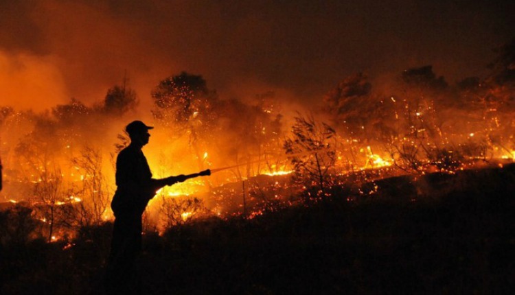 G-7 anuncia R$ 91 milhões para combater incêndios na Amazônia