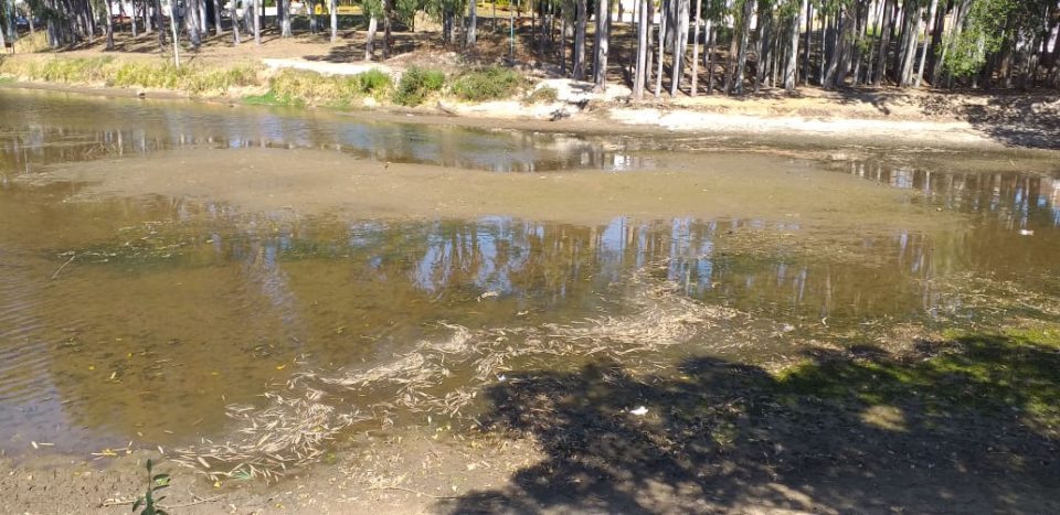 Estiagem faz lago do Jardim Aquarius praticamente secar