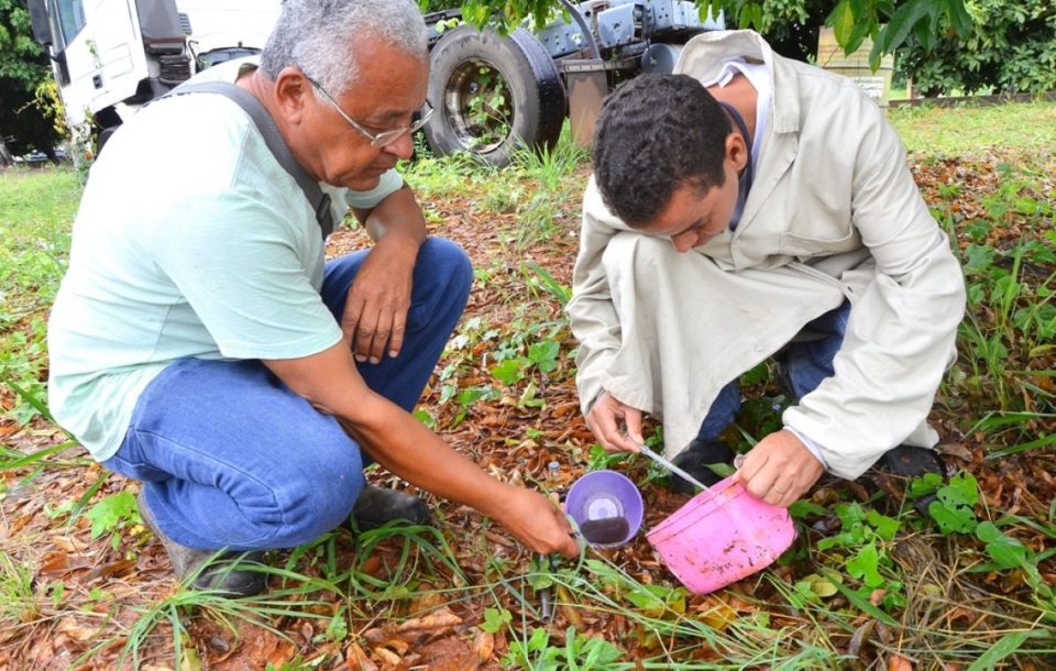 Marília registra redução na infestação de Aedes, mostra levantamento