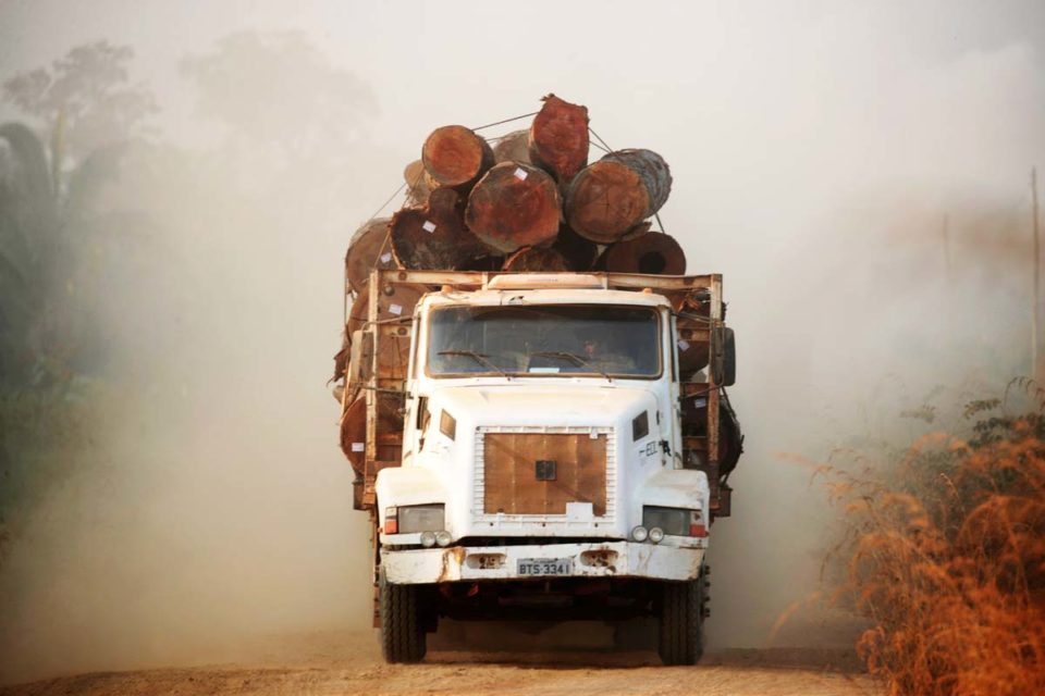 Desmate desde 1985 equivale a 3,6 vezes área de SP