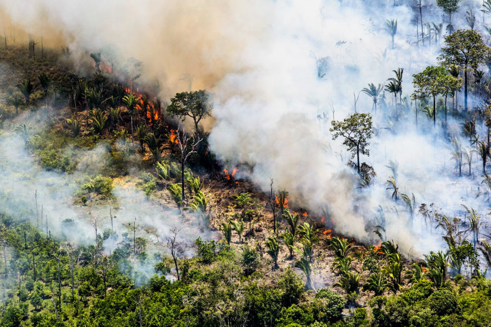 Governo estuda veto a fogo em período seco na Amazônia