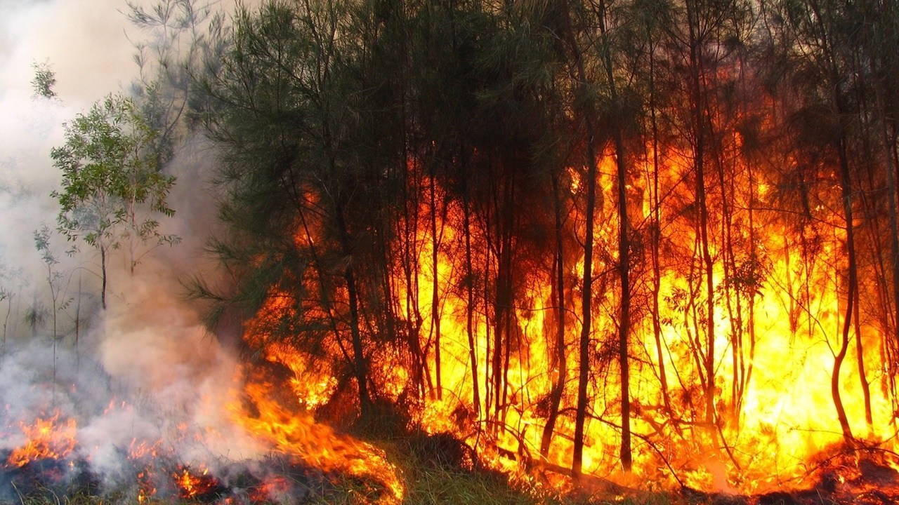 Fumaça e tempo seco antecipam crise do clima e viram desafio às cidades