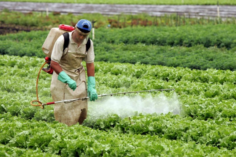 Pesquisa indica que não há dose segura de agrotóxico