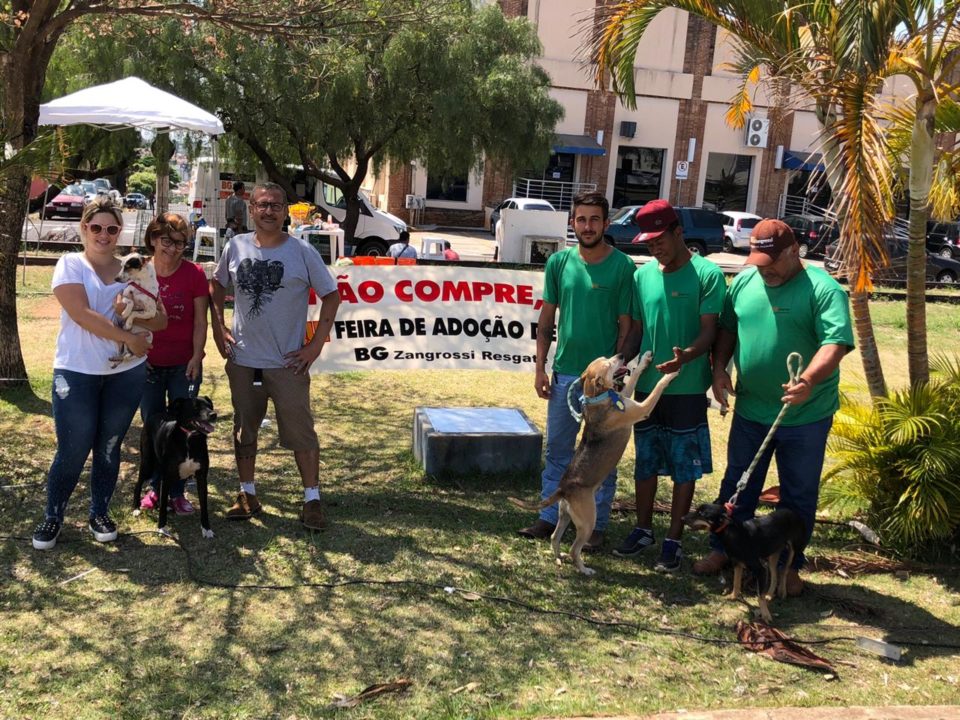 Prefeitura realiza doação de animais resgatados aos finais de semana