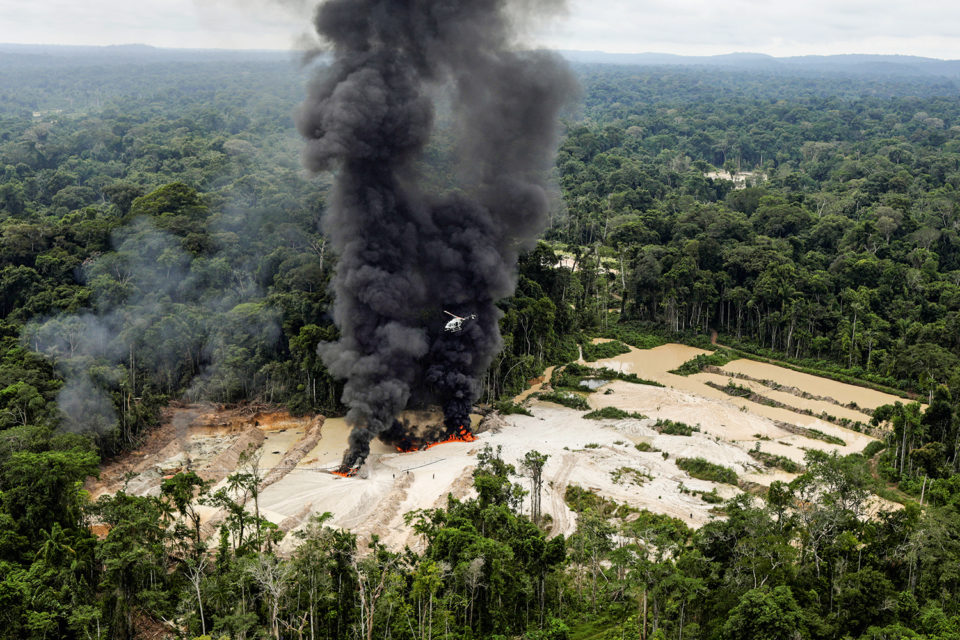 Dodge: Crime organizado é responsável pelo desmatamento da Amazônia