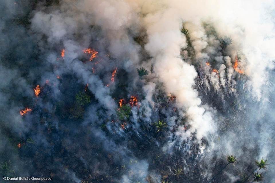 Queimadas na Amazônia quase triplicam e superam média histórica