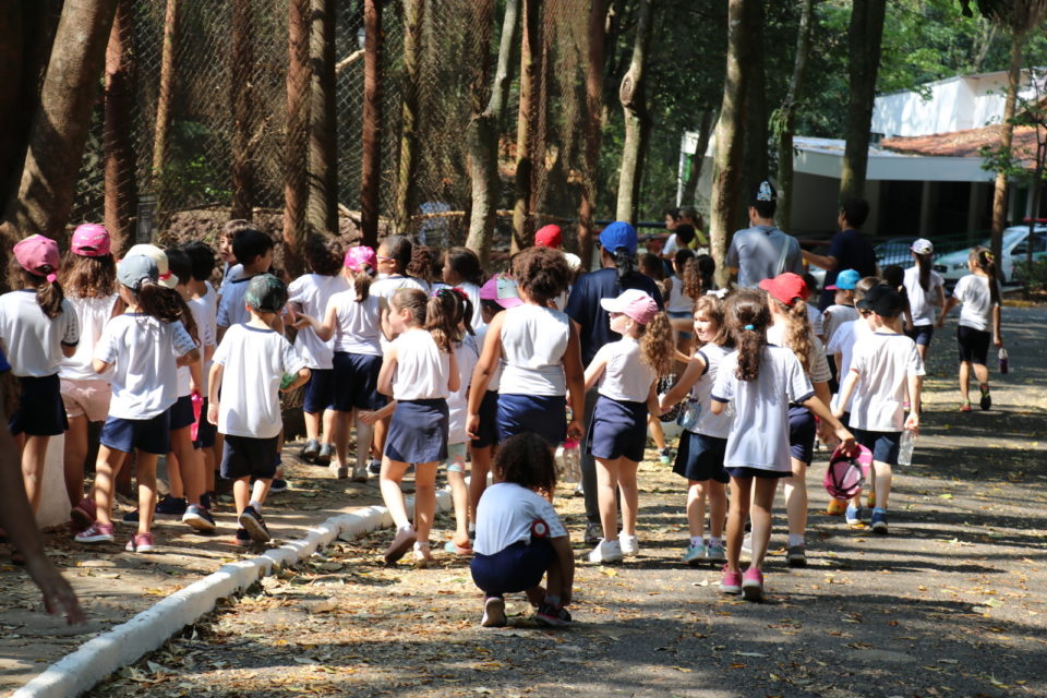Prefeitura celebra a ‘Semana da Árvore’ com atividades no Bosque