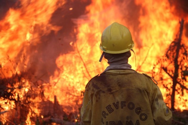 Como a Amazônia chegou a 30.901 focos de incêndio