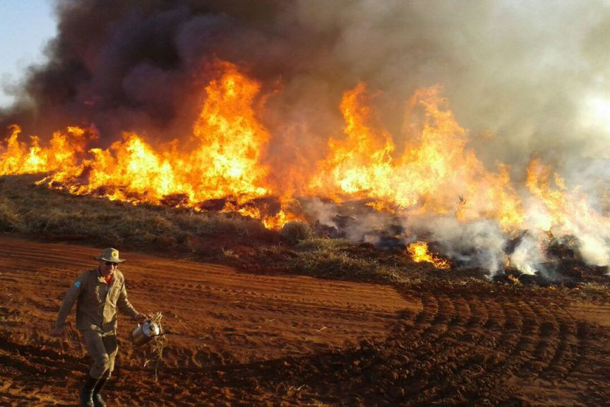 Fogo atinge ‘dimensões devastadoras’ no Pantanal, diz governo do MS