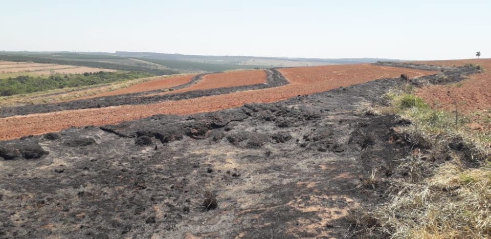 Propriedade é multada por fogo em área pastoril em Gália