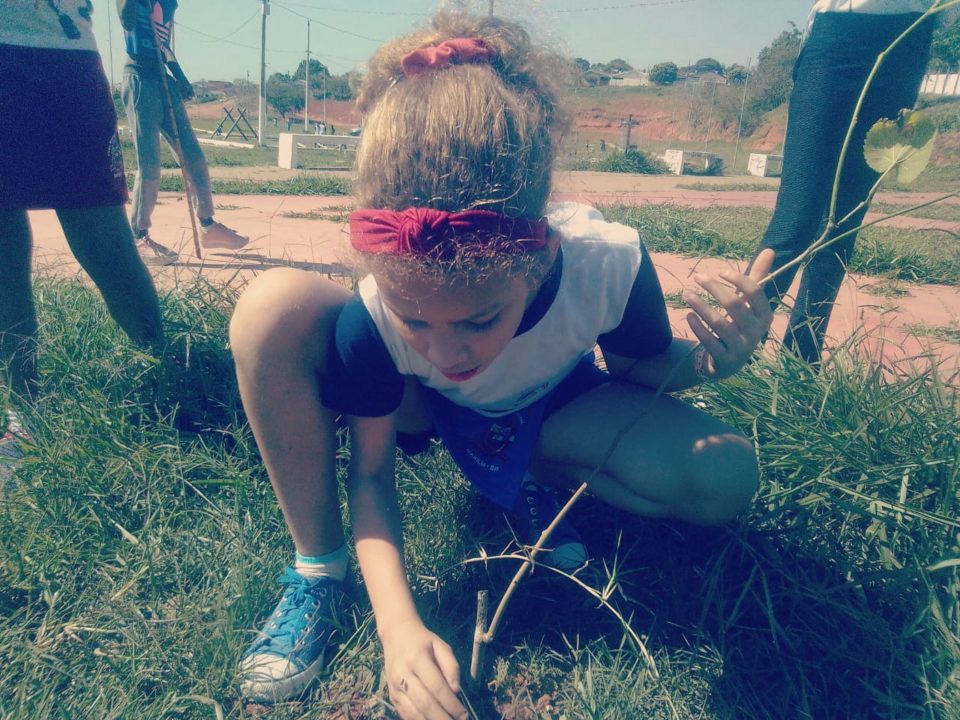 Prefeitura arboriza o Parque do Povo com a participação de estudantes