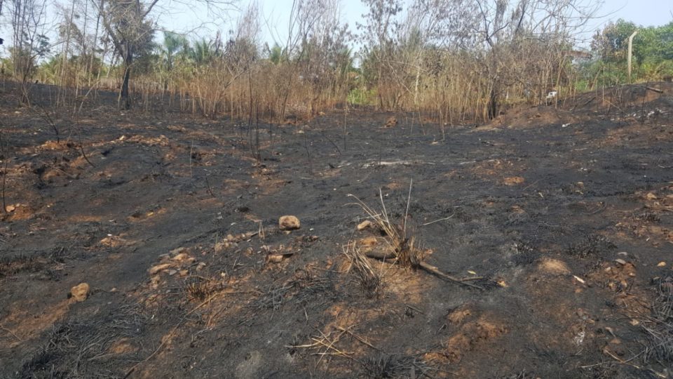 Polícia Ambiental aplica multa após queimada em área de APP