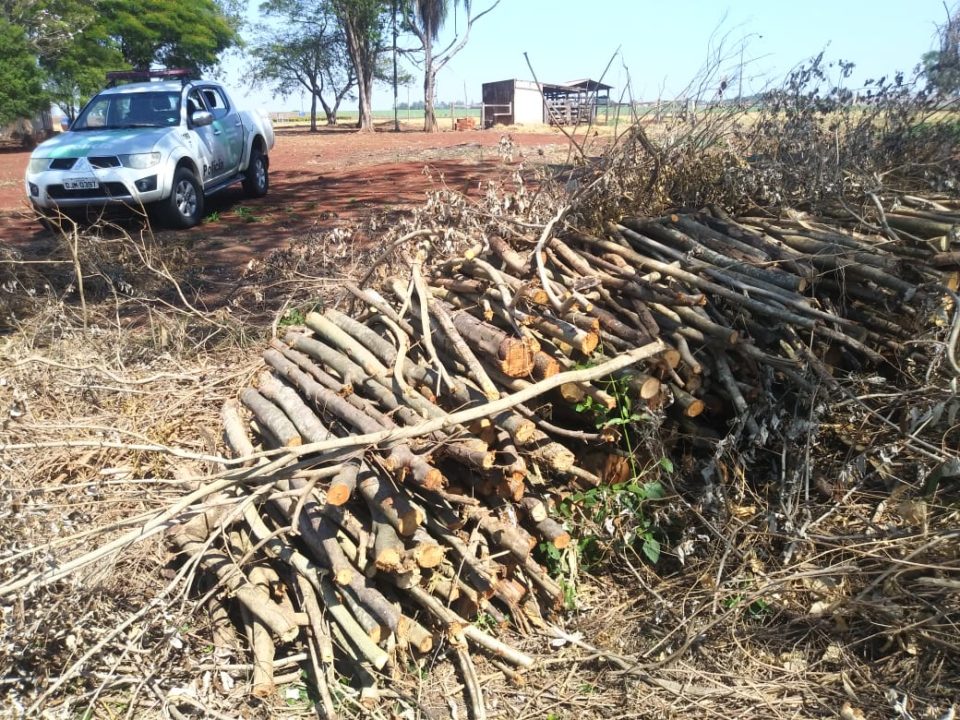 Polícia Ambiental flagra fogo e corte de vegetação nativa na região